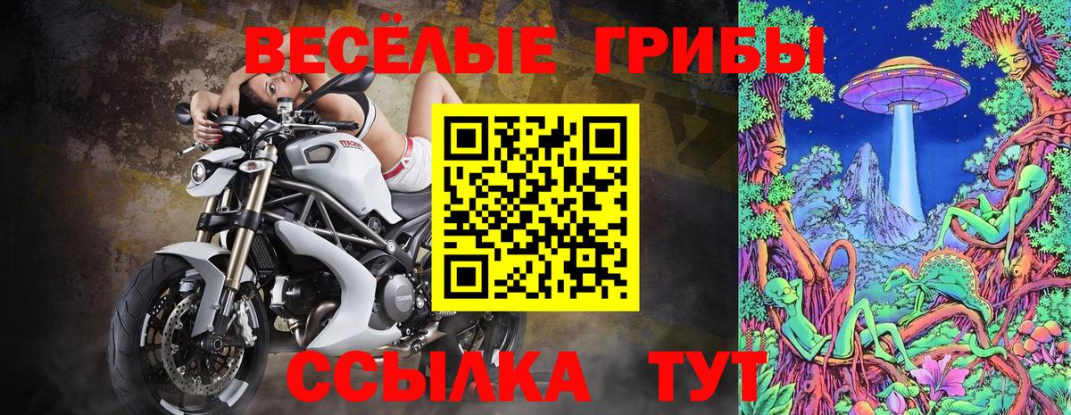 как найти закладки  Вход с VPN  Лениногорск  Галлюциногенные грибы Magic Shrooms 
